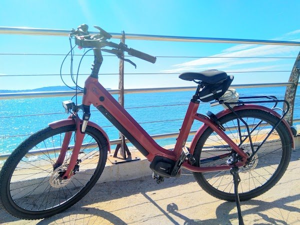 Mobilité Moderne - Carqueiranne 83 - Photo 3