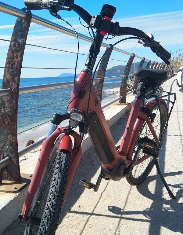 Mobilité Moderne - Carqueiranne 83 - Photo 4