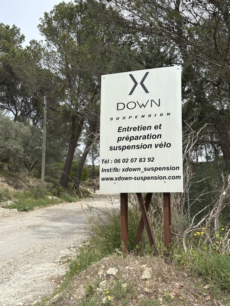 X Down Suspension - Réparation de Vélo