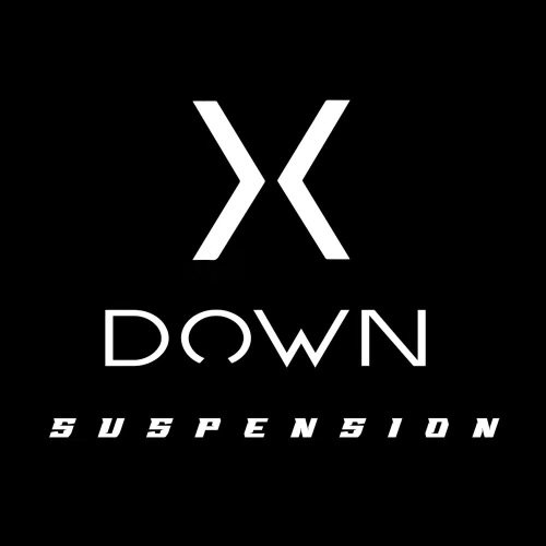 X Down Suspension - Réparation de Vélo - Photo 4