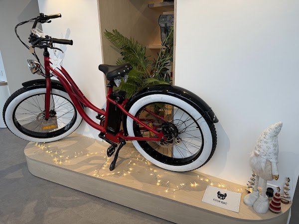 Mon velo Yeu - Photo 4