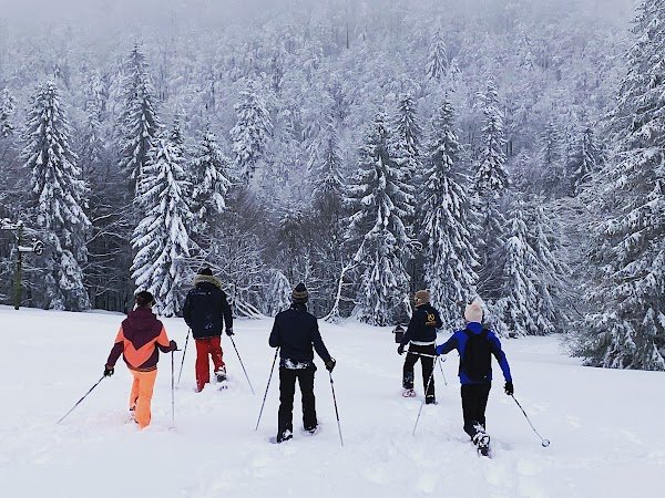 Gambaladons - Photo 2