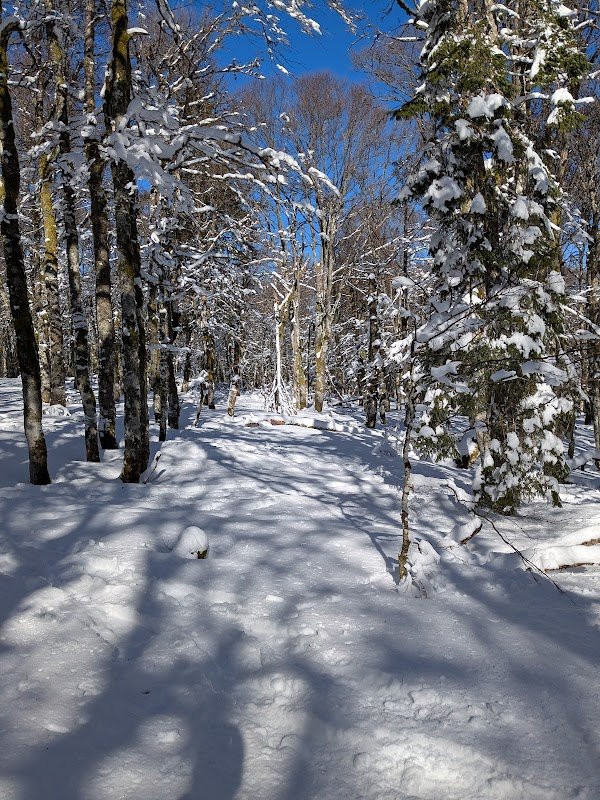 Gambaladons - Photo 3