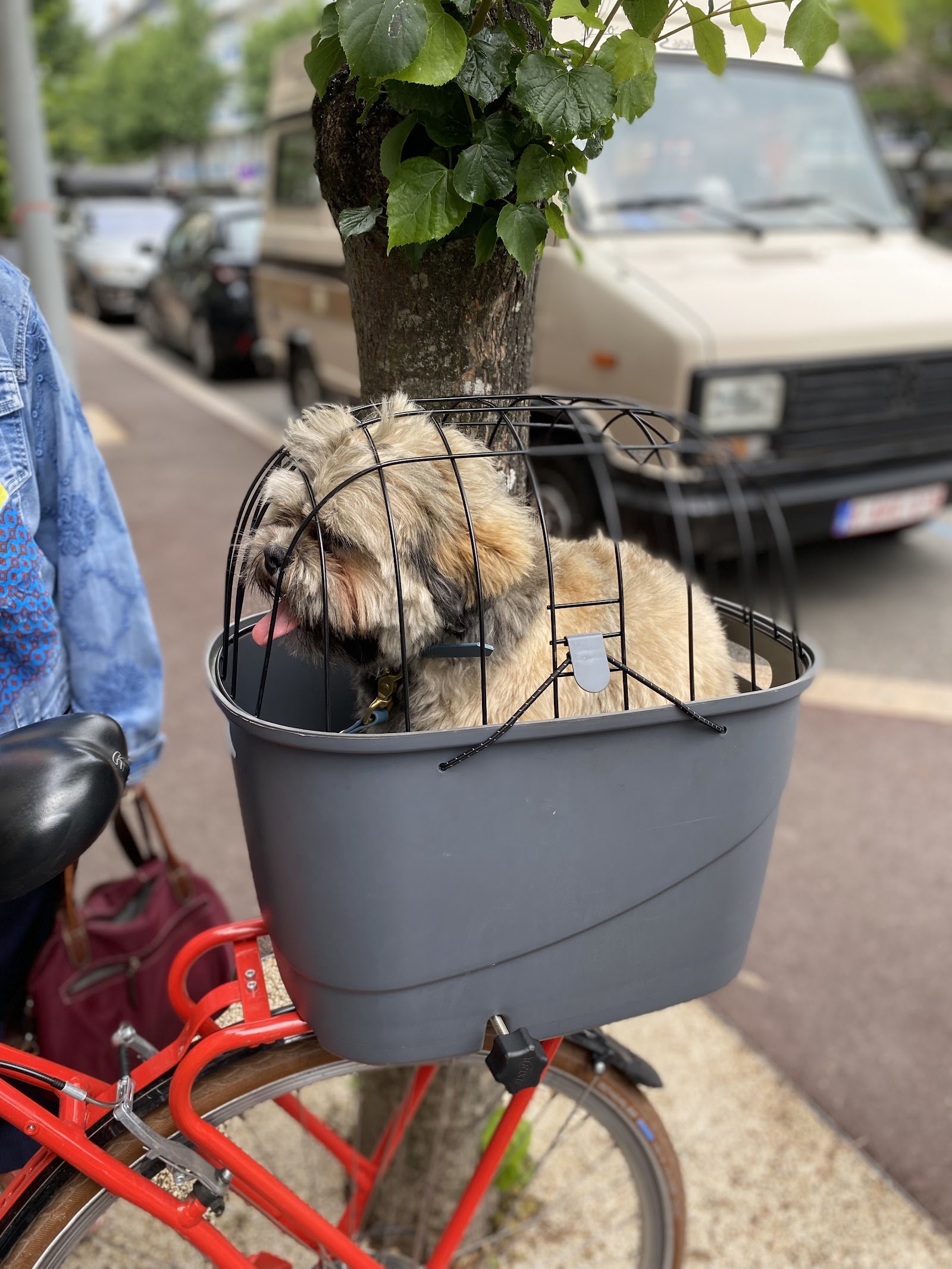 La Maison du Vélo / Location de vélo - LA BAULE - Photo 2