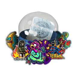 2021 Community Sticker Capsule