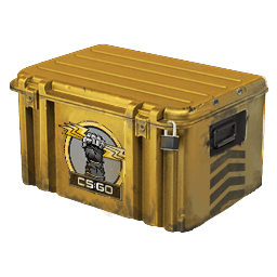 Glove Case