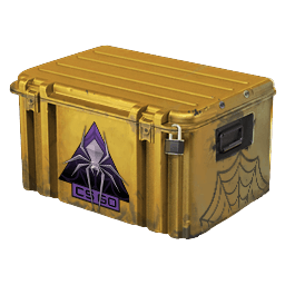 Shattered Web Case