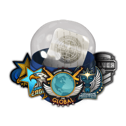 Skill Groups Capsule