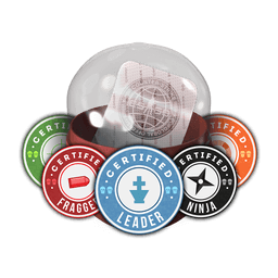 Team Roles Capsule