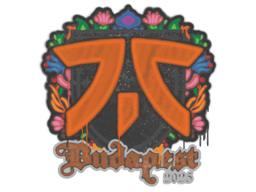 Sealed Graffiti | fnatic | Budapest 2025 image
