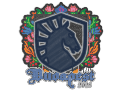 Sealed Graffiti | Team Liquid | Budapest 2025 image