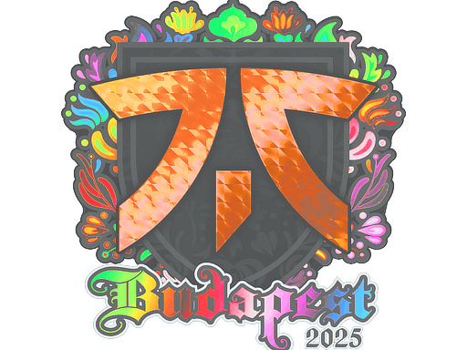 Sticker | fnatic (Holo) | Budapest 2025 image
