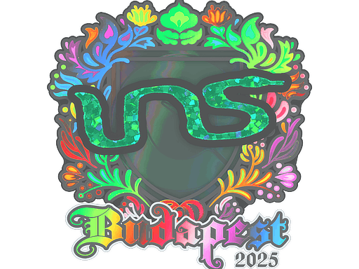 Sticker | INS (Holo) | Budapest 2025 image