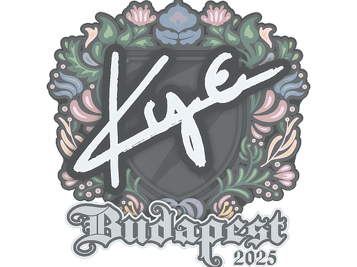 Sticker | kye | Budapest 2025 image