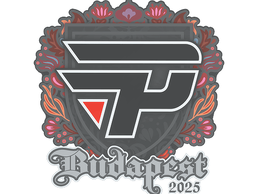 Sticker | paiN Gaming | Budapest 2025 image