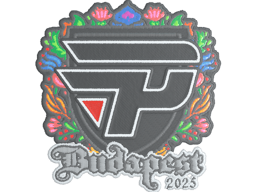 Sticker | paiN Gaming (Embroidered) | Budapest 2025 image