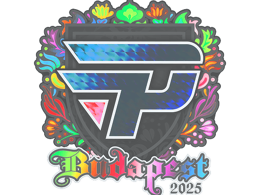 Sticker | paiN Gaming (Holo) | Budapest 2025 image