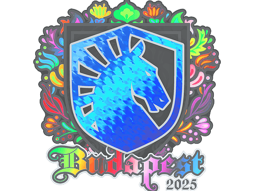 Sticker | Team Liquid (Holo) | Budapest 2025 image