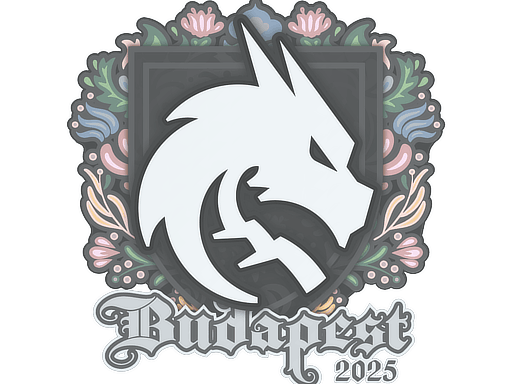 Sticker | Team Spirit | Budapest 2025 image