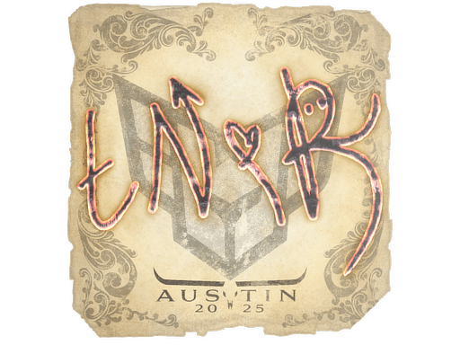 tN1R Stickers
