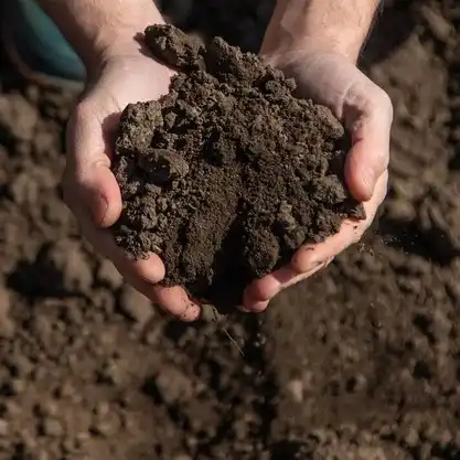 Terre Vegetale Criblee