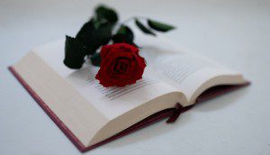 sant jordi