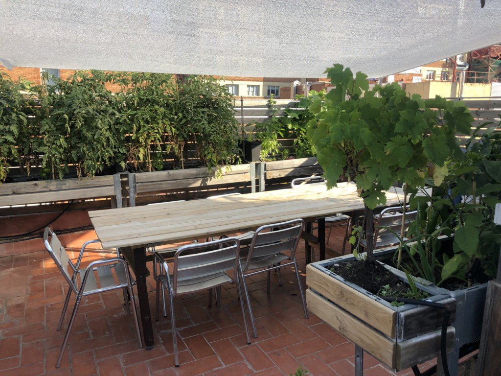 rooftop en Barcelona
