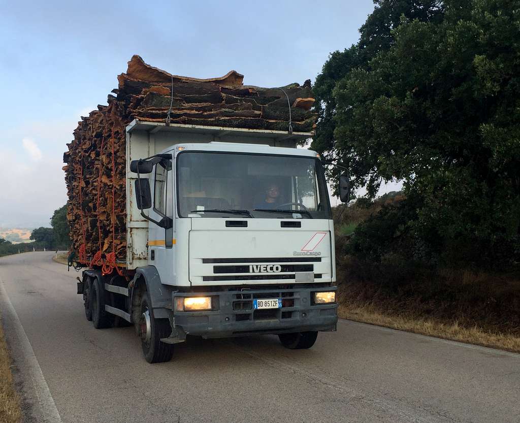 El cártel de los camiones