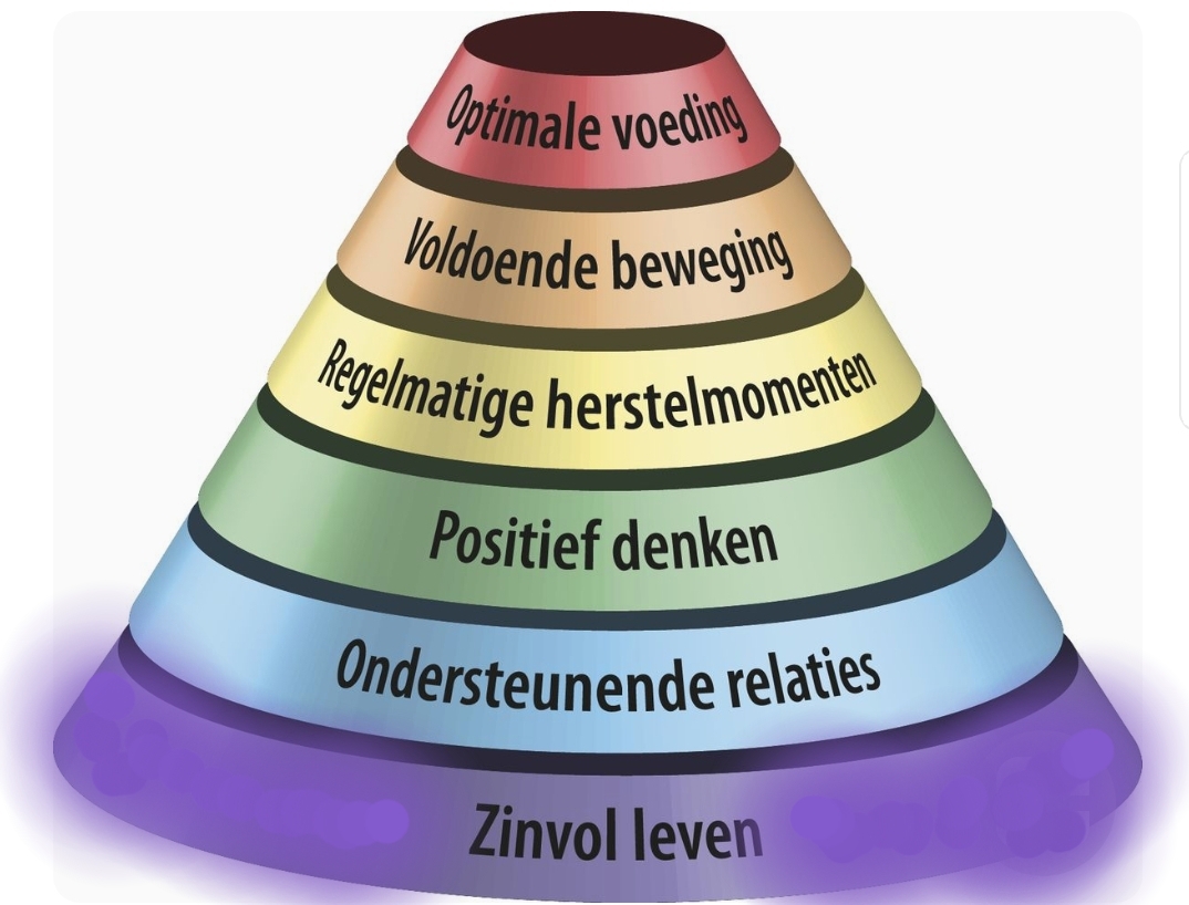vitaliteit