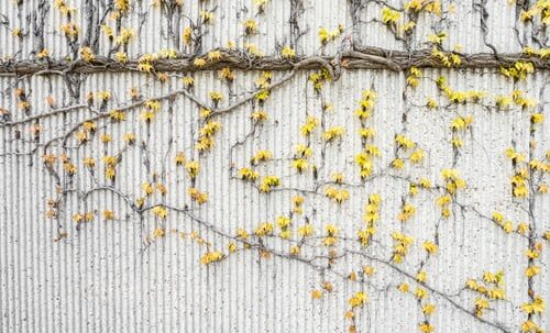 Laat je weerstand los