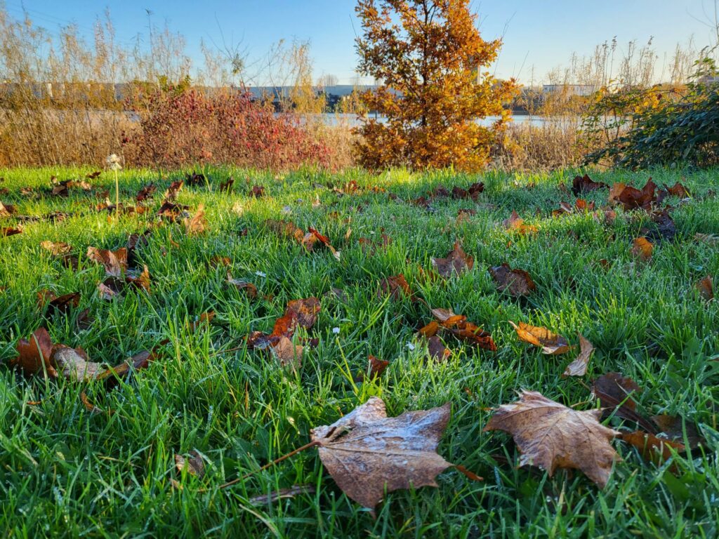 deze tijd van het jaar