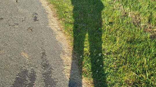 een jaar niet hardlopen