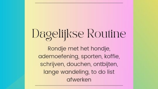 de ideale dagelijkse routine