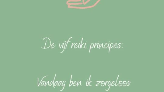 reiki principes