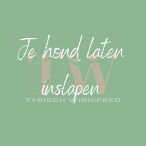 Inslapen