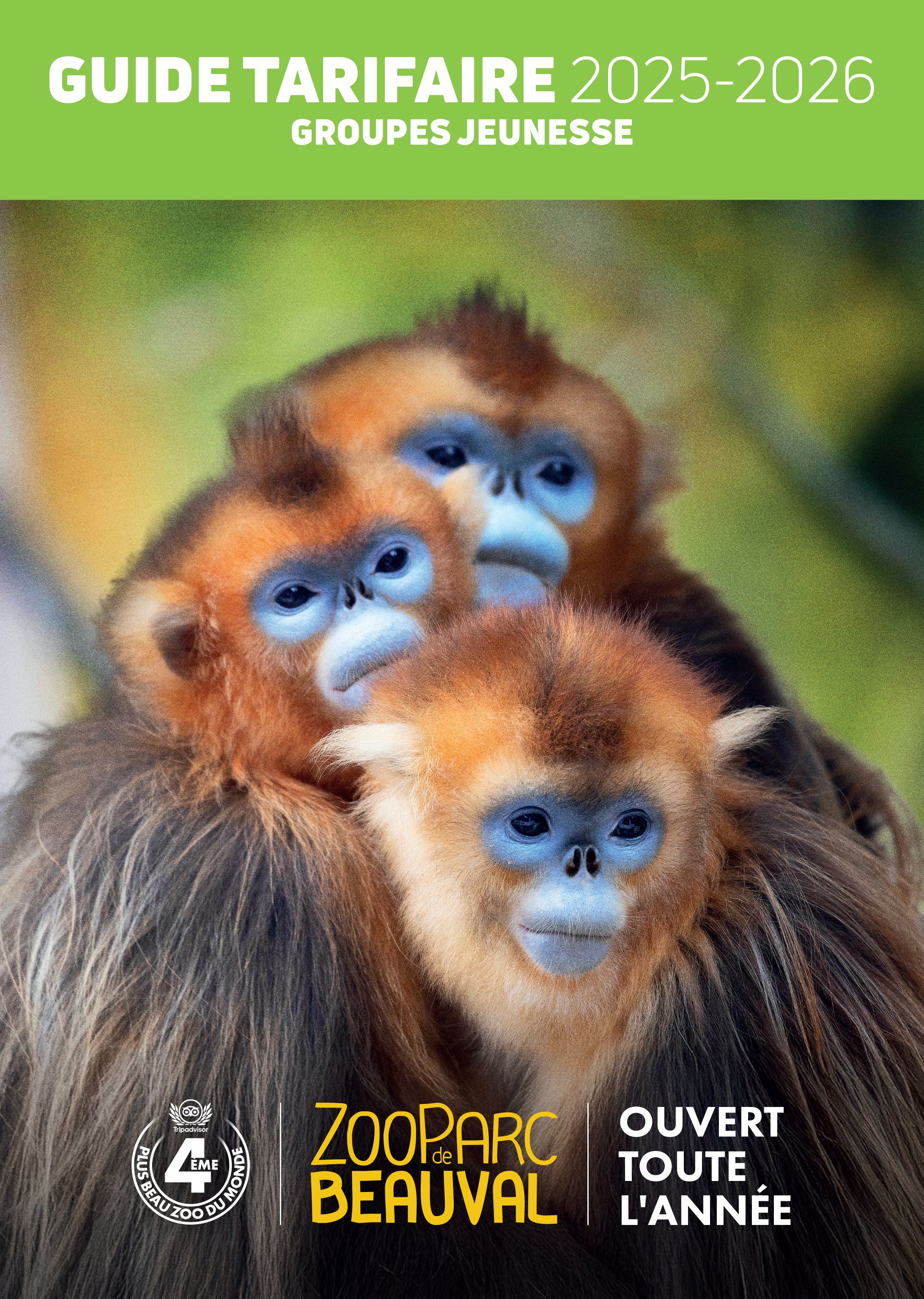 Obtenez notre guide tarifaire groupes Jeunesse 2025-2026