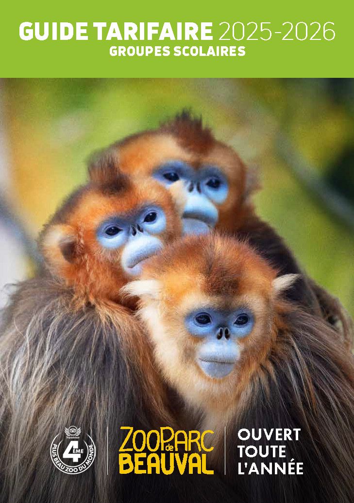Obtenez notre guide tarifaire groupes Scolaires 2025-2026