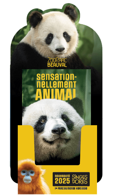 Image du support
