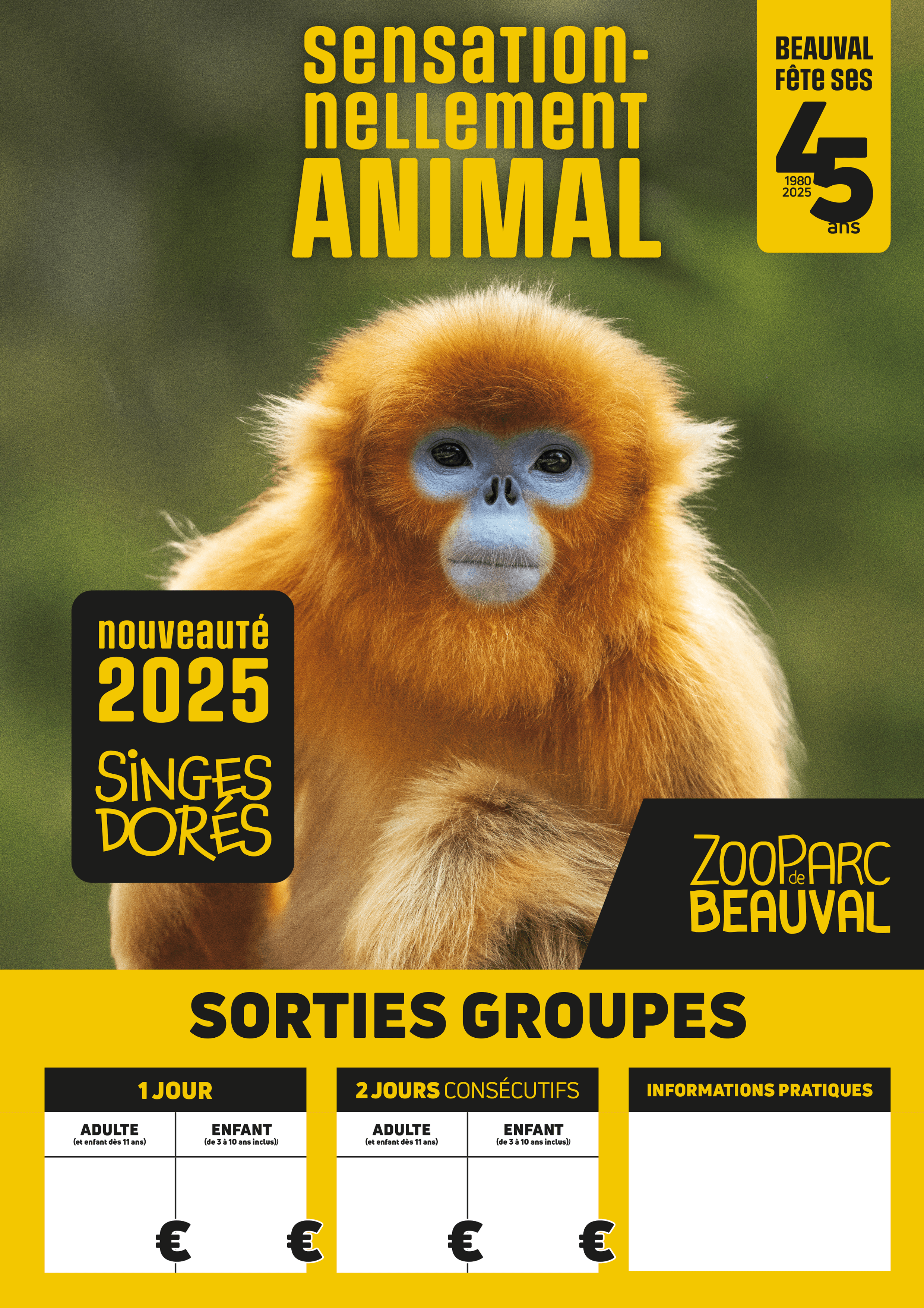 Image du support