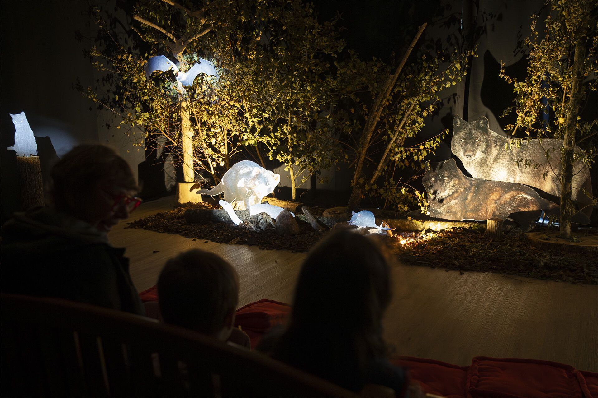 Animations dans une salle immersive