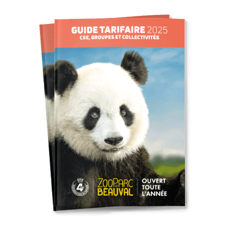 Obtenez notre guide tarifaire