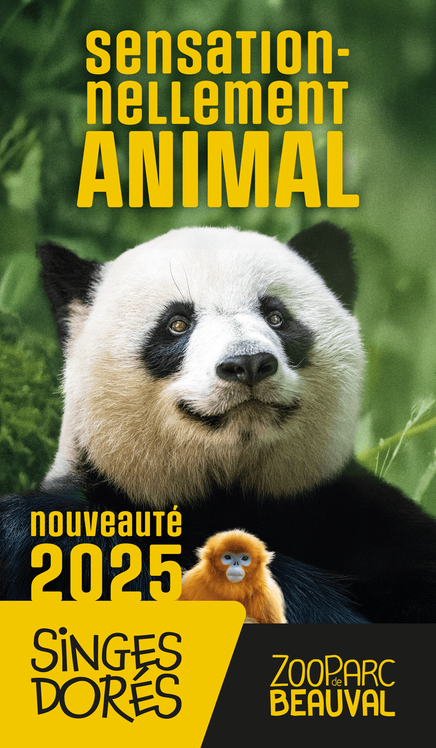 Image du support