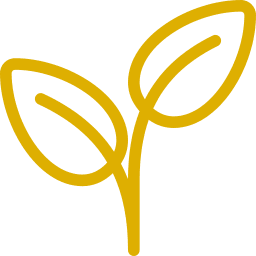feuille RSE