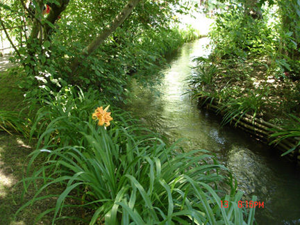 小溪流水穿越竹林小徑及花園，構成田園詩的境界。