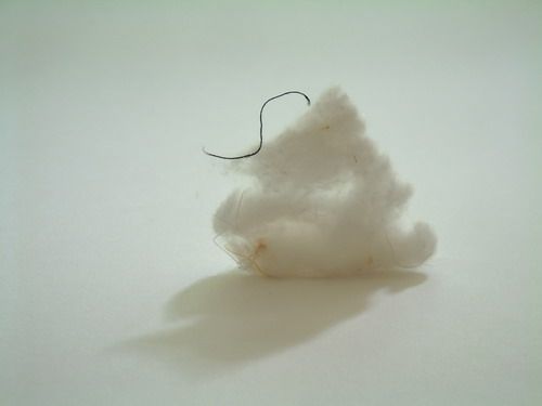 000019PL_p1.jpg