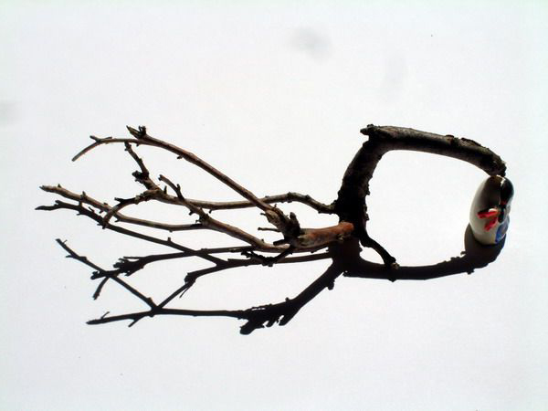 DSCF0016-1