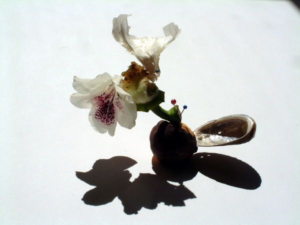 DSCF0011