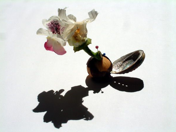 DSCF0010-1