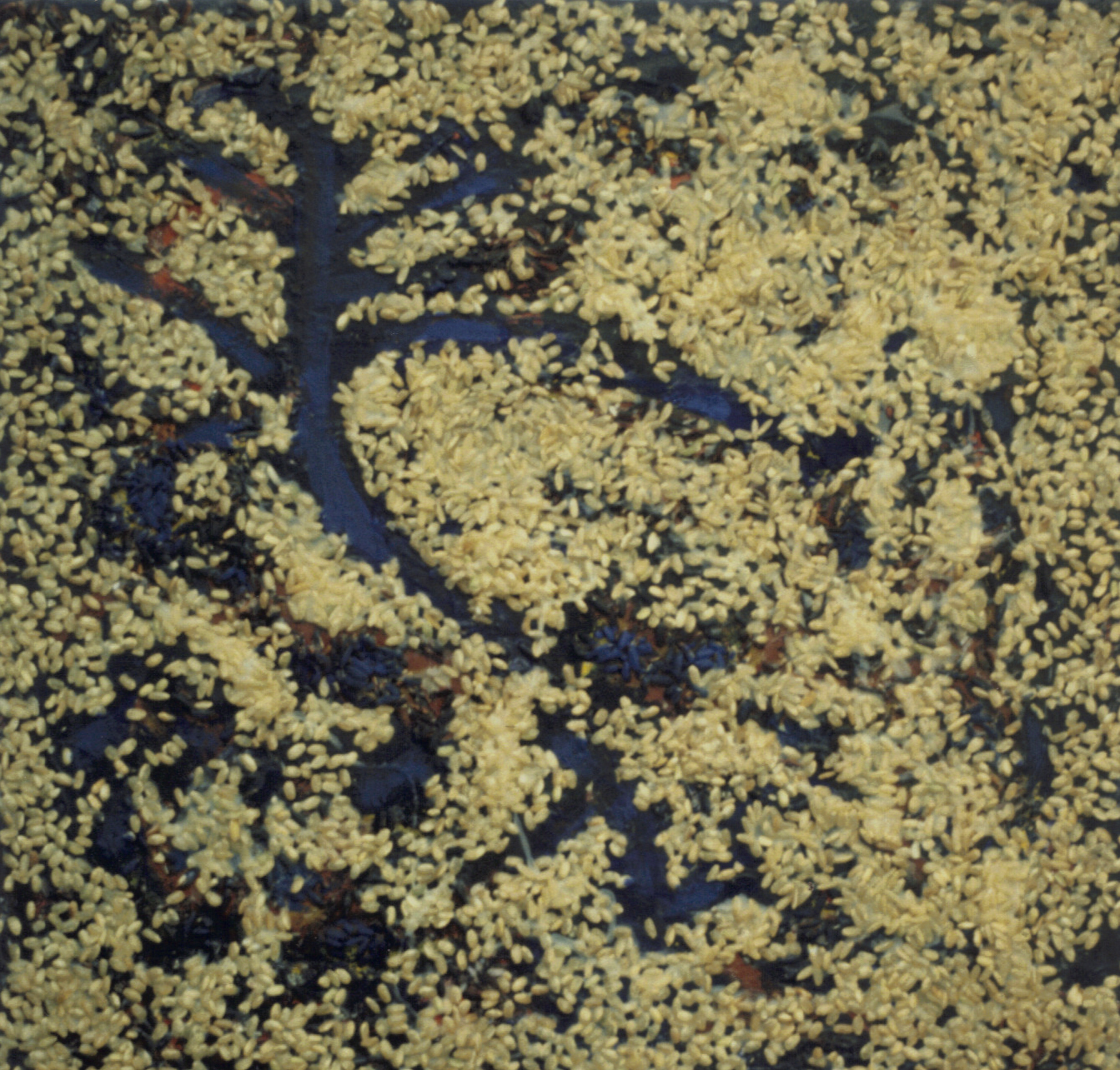 19-08-2010 13;54;57