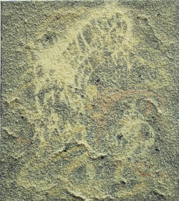 01119-08-2010 13;41;02